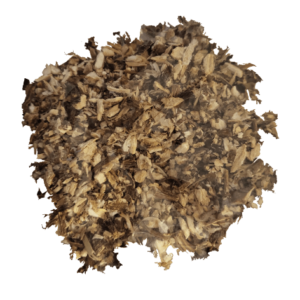 Biedrzeniec korzeń - 25g