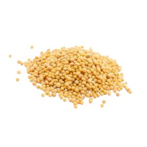 Gorczyca biała- 40 g