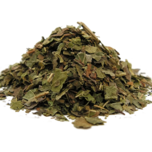 Morwa biała liść - 50g - eko