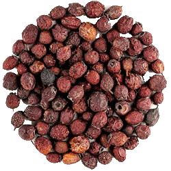 Owoc głogu - 100g
